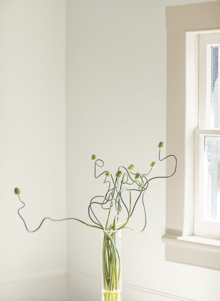 Kelowna Paint and Decor